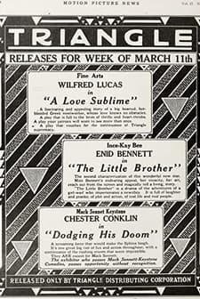 Dodging His Doom (1917) afişi