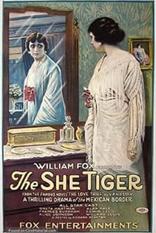 The Love Thief (1916) afişi