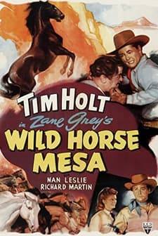 Wild Horse Mesa (1947) afişi