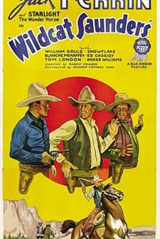 Wildcat Saunders (1936) afişi