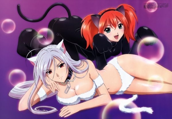 Rosario To Vampire fotoğrafı