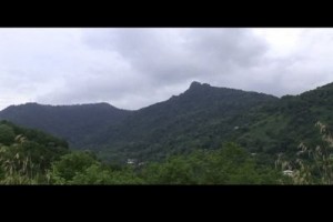 Lazlar: 4000 Yıllık Tarih fotoğrafı