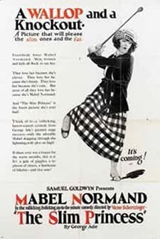 The Slim Princess (1920) afişi