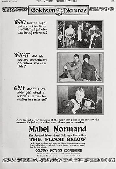 The Floor Below (1918) afişi