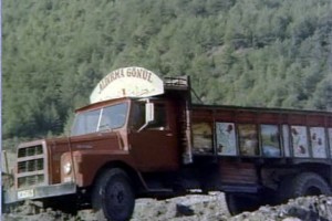 Selvi Boylum Al Yazmalım Fotoğrafı