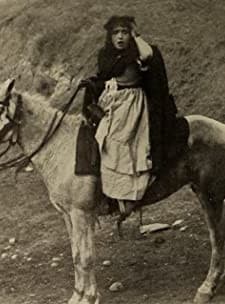 Cohen Saves The Flag (1913) afişi