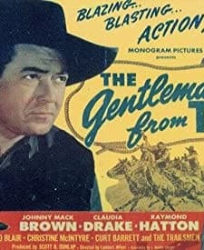 The Gentleman From Texas (1946) afişi