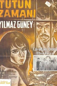 Tütün Zamanı (1959) afişi