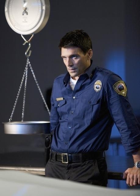 The Gates Fotoğrafı