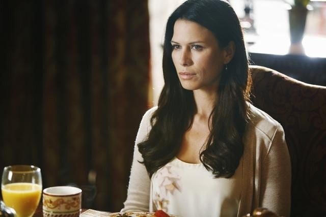 The Gates Fotoğrafı