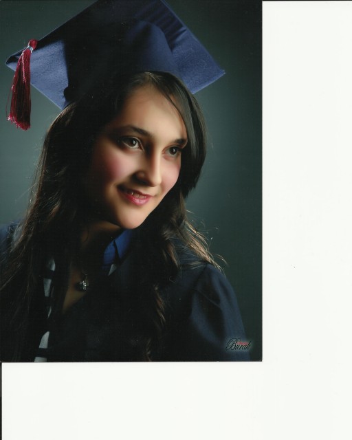 Babamın Penguenleri Fotoğrafı