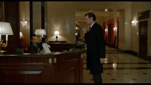 Babamın Penguenleri Fotoğrafı