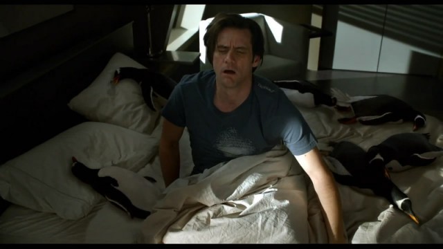 Babamın Penguenleri Fotoğrafı