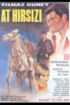 At Hırsızı Banuş (1967) afişi