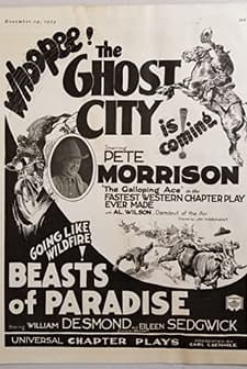 The Ghost City (1923) afişi