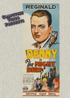 The Night Bird (1928) afişi