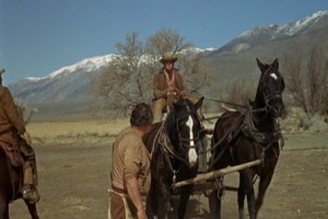 Will Penny Fotoğrafı