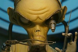 Max & Co fotoğrafı