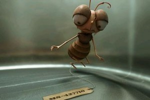 Max & Co fotoğrafı