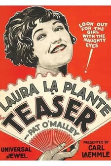 The Teaser (1925) afişi