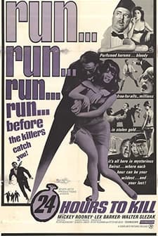 Twenty-four Hours To Kill (1965) afişi