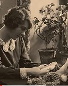 Mist In The Valley (1923) afişi