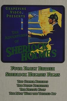 The Man With The Twisted Lip (1921) afişi