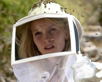 Katil Arılar Fotoğrafı