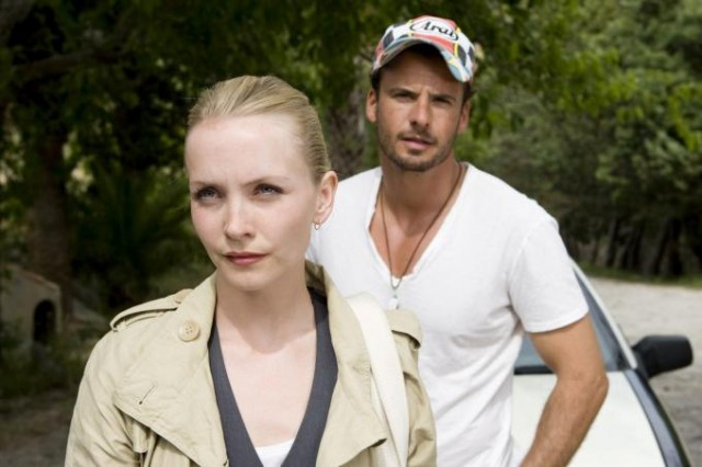 Katil Arılar Fotoğrafı