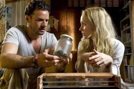 Katil Arılar Fotoğrafı