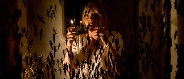 Katil Arılar Fotoğrafı