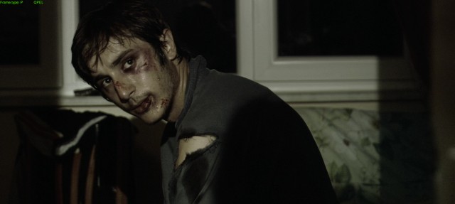 Üç Maymun Fotoğrafı