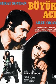 Büyük Acı (1971) afişi