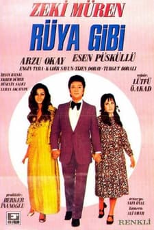 Rüya Gibi (1971) afişi