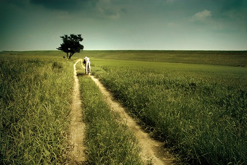 The Clone Returns Home fotoğrafı