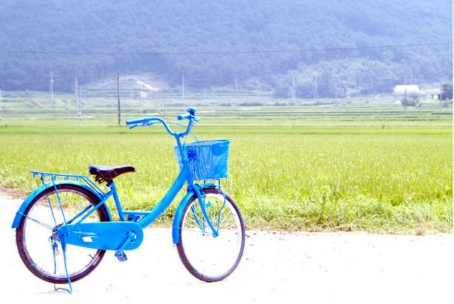 Paran Jajeongeo Fotoğrafı