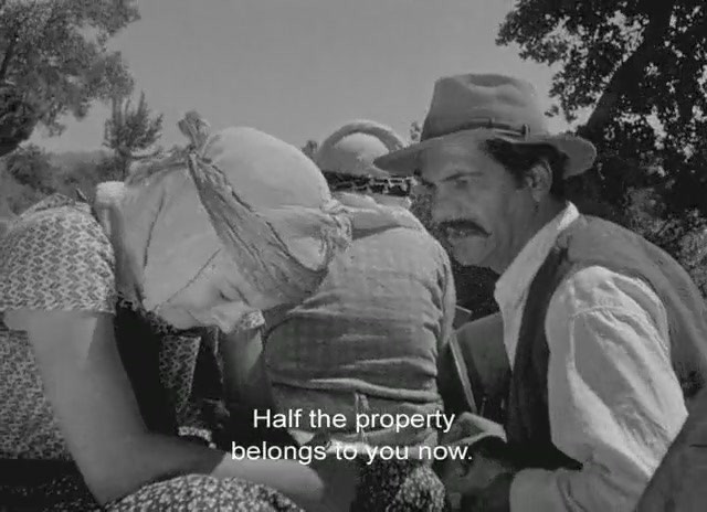 Susuz Yaz Fotoğrafı