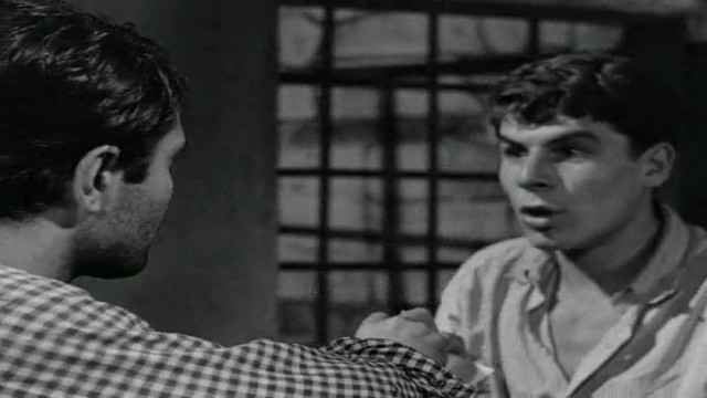 Susuz Yaz Fotoğrafı