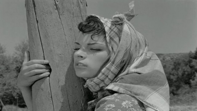 Susuz Yaz Fotoğrafı