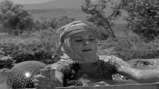 Susuz Yaz Fotoğrafı