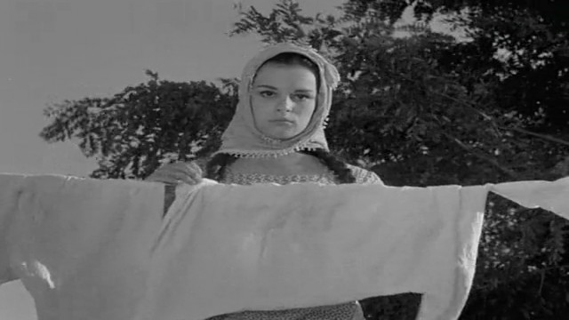 Susuz Yaz Fotoğrafı