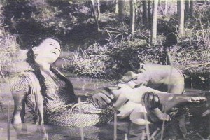 Susuz Yaz Fotoğrafı