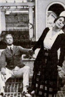 The Homebreaker (1919) afişi