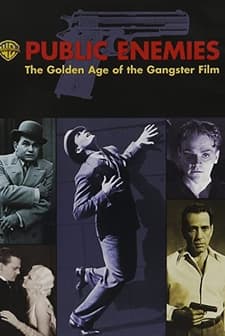 Public Enemies: The Golden Age Of The Gangster Film (2008) afişi