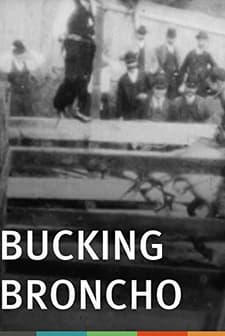 Bucking Broncho (1894) afişi