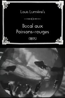 Bocal Aux Poissons-rouges (1895) afişi
