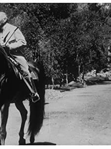 Le Président En Promenade (1896) afişi