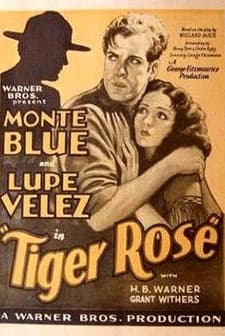 Tiger Rose (1929) afişi