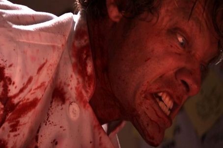 The Cook fotoğrafı