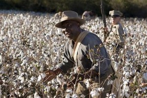 Honeydripper Fotoğrafı